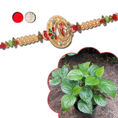 "Fancy Rakhi - FR- 8060 A (Single Rakhi),  Betel plant - Click here to View more details about this Product